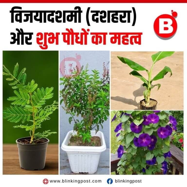 विजयादशमी (दशहरा) और शुभ पौधों का महत्व