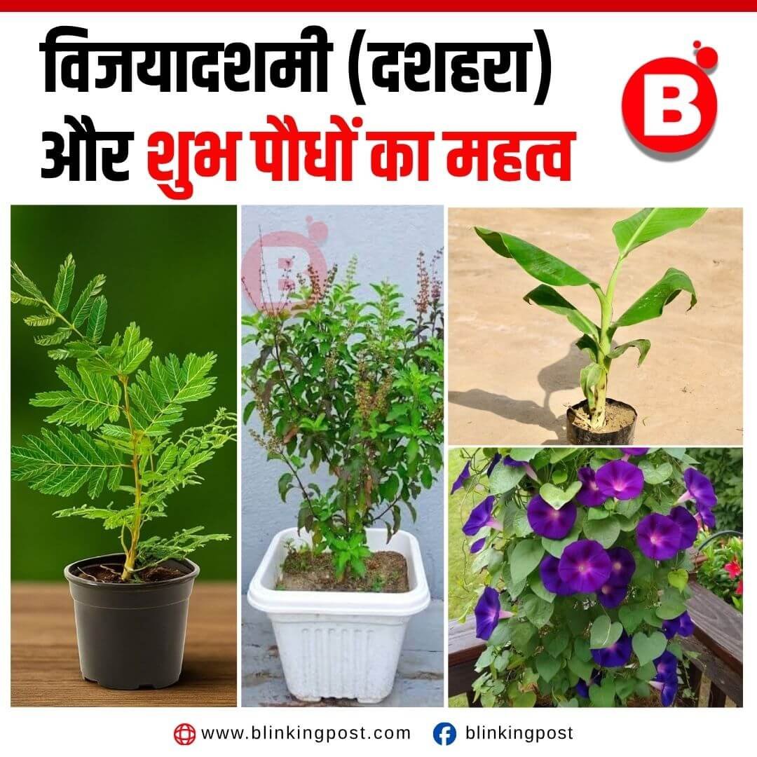 विजयादशमी (दशहरा) और शुभ पौधों का महत्व